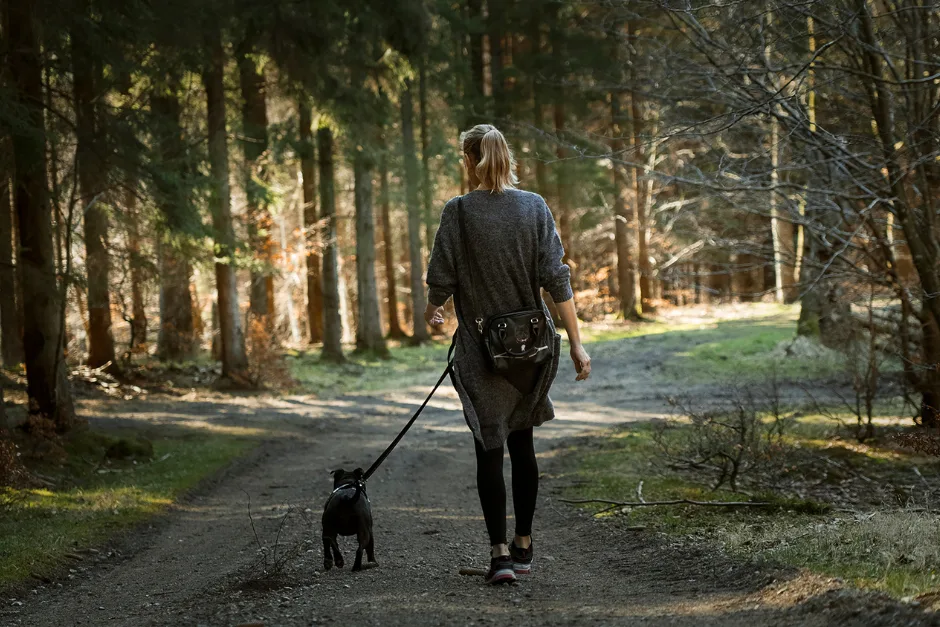 Votre séjour avec votre chien