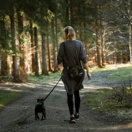 Votre séjour avec votre chien