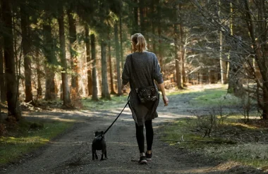 Votre séjour avec votre chien