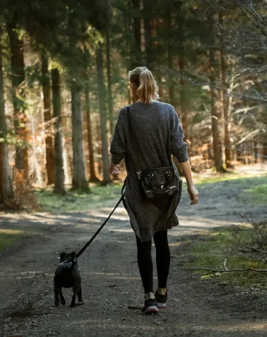 Votre séjour avec votre chien