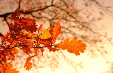 L’automne en Centre-Bretagne