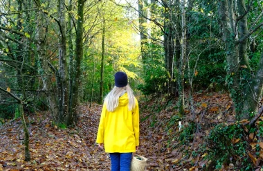 Activités pendant les vacances d’automne