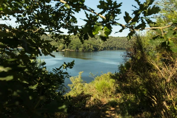 Les essentiels du lac de Guerlédan